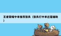 王者荣耀中单推荐张良(张良打中单还是辅助)