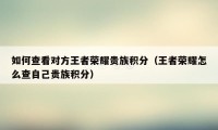 如何查看对方王者荣耀贵族积分（王者荣耀怎么查自己贵族积分）
