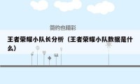 王者荣耀小队长分析（王者荣耀小队数据是什么）