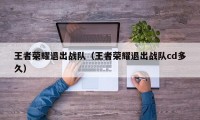 王者荣耀退出战队（王者荣耀退出战队cd多久）