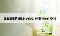 王者荣耀梦泪碰到小白龙（梦泪评价白龙吟）