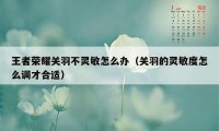 王者荣耀关羽不灵敏怎么办（关羽的灵敏度怎么调才合适）