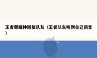 王者荣耀神回复队友（王者队友听到自己回音）