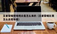 王者荣耀现场观众是怎么来的（王者荣耀比赛怎么去现场看）