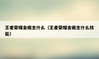 王者荣耀金蟾主什么（王者荣耀金蟾主什么技能）