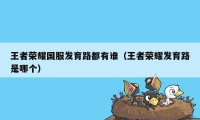 王者荣耀国服发育路都有谁（王者荣耀发育路是哪个）