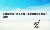 王者荣耀线下怎么升级（王者荣耀线下怎么升级快）