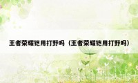 王者荣耀铠用打野吗(王者荣耀铠用打野吗)
