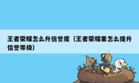 王者荣耀怎么升信誉度（王者荣耀里怎么提升信誉等级）