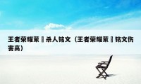 王者荣耀蒙犽杀人铭文(王者荣耀蒙犽铭文伤害高)