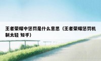 王者荣耀中惩罚是什么意思(王者荣耀惩罚机制太轻 知乎)