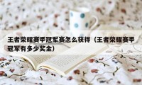 王者荣耀赛季冠军赛怎么获得(王者荣耀赛季冠军有多少奖金)