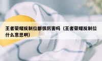王者荣耀反制位都很厉害吗（王者荣耀反制位什么意思啊）