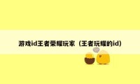 游戏id王者荣耀玩家(王者玩耀的id)