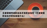 王者荣耀甲级职业选手有职业标吗（王者荣耀职业选手的标准是什么）