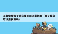 王者荣耀猴子铭文要无双还是祸源（猴子铭文可以用祸源吗）