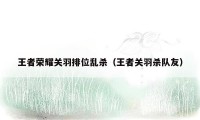 王者荣耀关羽排位乱杀(王者关羽杀队友)