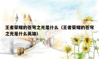 王者荣耀的苍穹之光是什么(王者荣耀的苍穹之光是什么英雄)