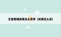 王者荣耀武藏怎么获得(武藏怎么买)
