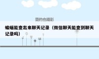 蝙蝠能查出来聊天记录（微信聊天能查到聊天记录吗）