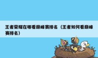 王者荣耀在哪看巅峰赛排名（王者如何看巅峰赛排名）
