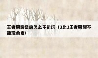 王者荣耀桑启怎么不能玩（3比3王者荣耀不能玩桑启）