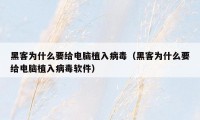 黑客为什么要给电脑植入病毒(黑客为什么要给电脑植入病毒软件)