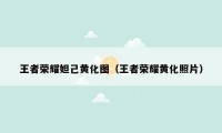 王者荣耀妲己黄化图（王者荣耀黄化照片）