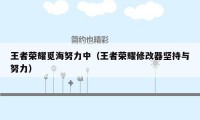 王者荣耀觅海努力中（王者荣耀修改器坚持与努力）