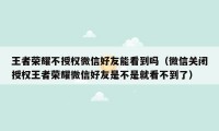 王者荣耀不授权微信好友能看到吗（微信关闭授权王者荣耀微信好友是不是就看不到了）