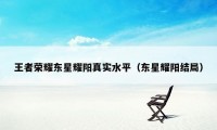 王者荣耀东星耀阳真实水平(东星耀阳结局)
