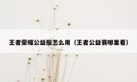 王者荣耀公益服怎么用(王者公益赛哪里看)