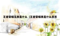 王者荣耀五黑是什么(王者荣耀黑是什么意思)