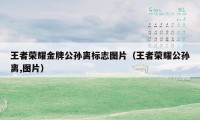 王者荣耀金牌公孙离标志图片（王者荣耀公孙离,图片）
