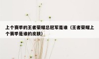 上个赛季的王者荣耀总冠军是谁（王者荣耀上个赛季是谁的皮肤）