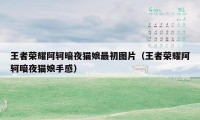 王者荣耀阿轲暗夜猫娘最初图片(王者荣耀阿轲暗夜猫娘手感)