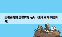 王者荣耀林度以前是ag吗（王者荣耀林度简介）