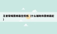 王者荣耀露娜最佳搭档（什么辅助和露娜最配）