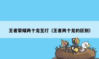 王者荣耀两个龙互打(王者两个龙的区别)