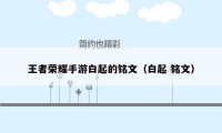 王者荣耀手游白起的铭文(白起 铭文)