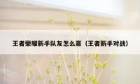 王者荣耀新手队友怎么赢（王者新手对战）