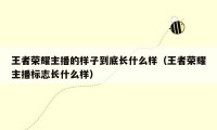 王者荣耀主播的样子到底长什么样（王者荣耀主播标志长什么样）