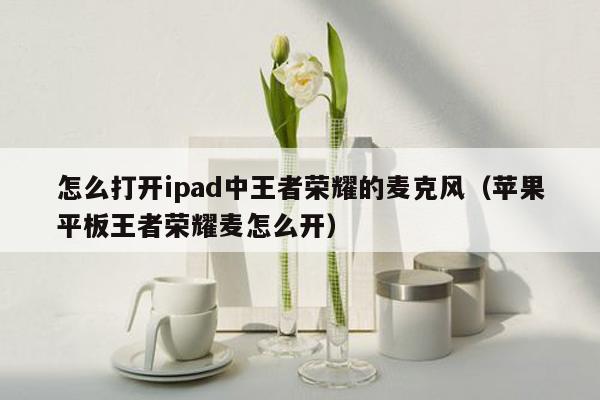 怎么打开ipad中王者荣耀的麦克风(苹果平板王者荣耀麦怎么开)