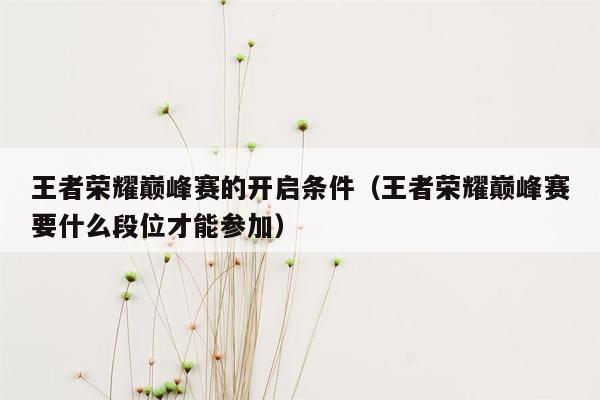 王者荣耀巅峰赛的开启条件(王者荣耀巅峰赛要什么段位才能参加)