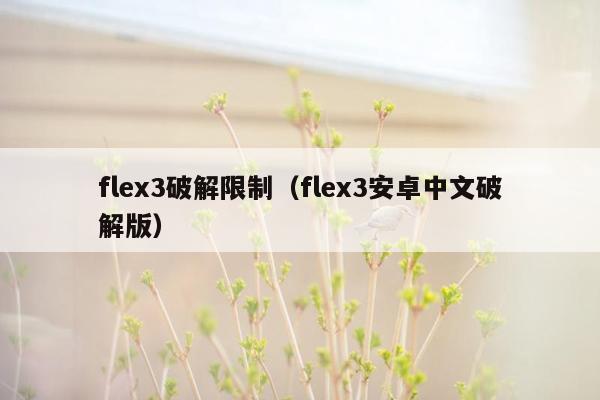 flex3破解限制(flex3安卓中文破解版)
