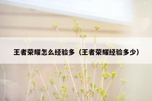 王者荣耀怎么经验多(王者荣耀经验多少)