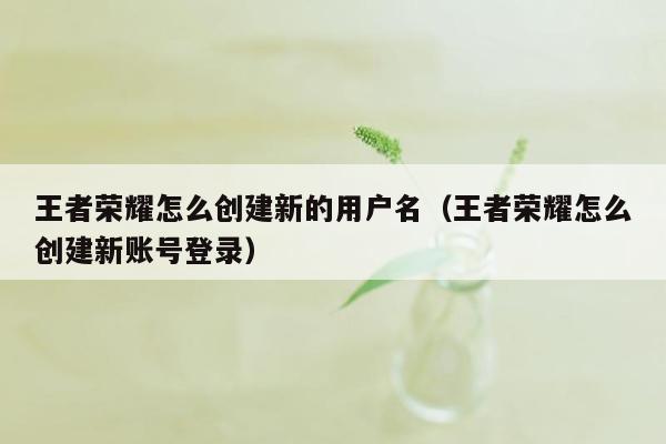 王者荣耀怎么创建新的用户名(王者荣耀怎么创建新账号登录)